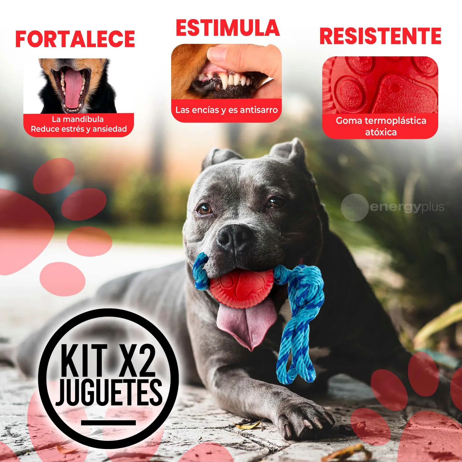 2 Juguetes Para Perro Con Pelota y Cuerda Medianos Azul Rojo 3