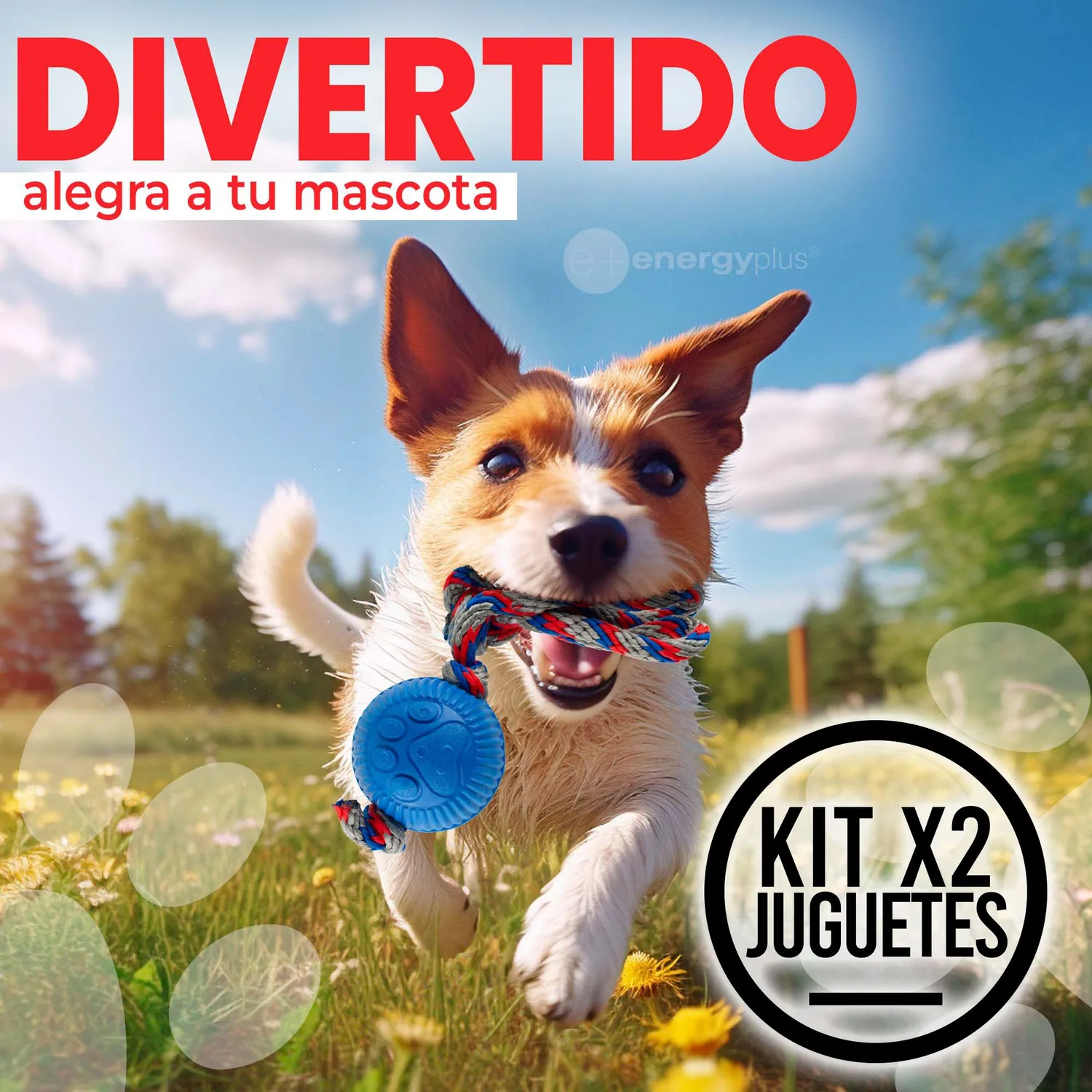 2 Juguetes Para Perro Con Pelota y Cuerda Medianos Azul Rojo 4