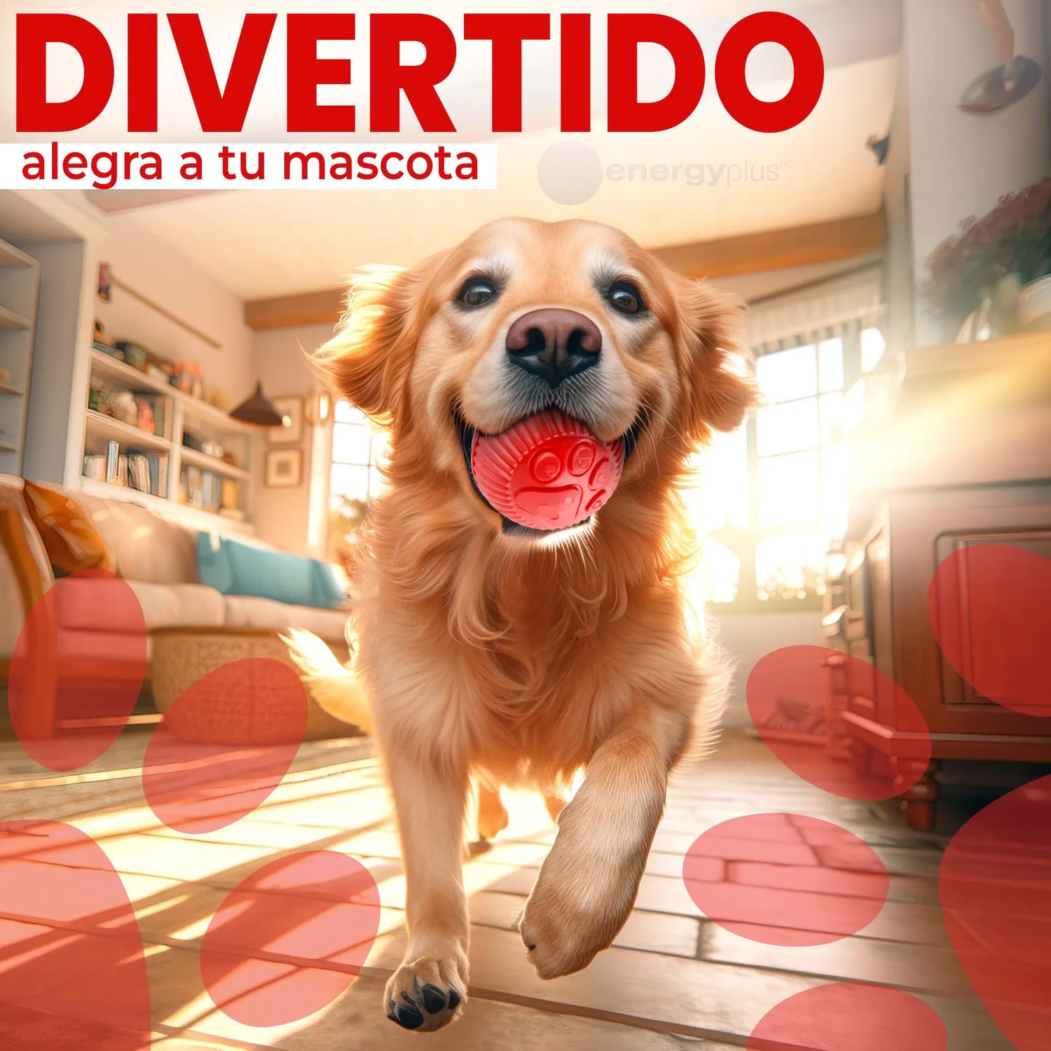 Pelota Con Dispensador Para Perros Rojo 4
