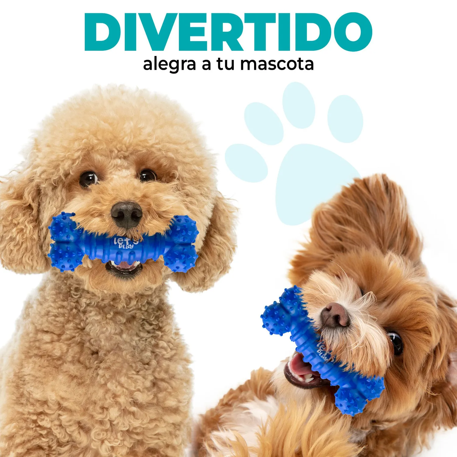 Hueso Goma Antisarro Perros Peq y Medianos Azul 4