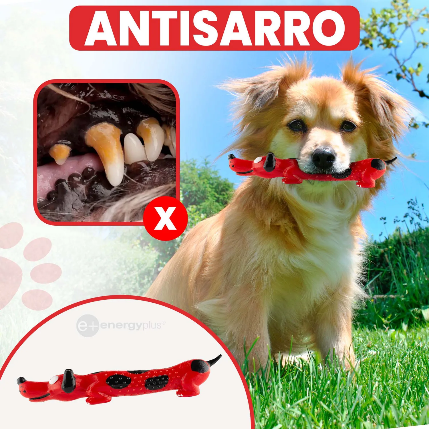 Juguete Para Perro Masticable Razas Peq Quita Sarro Rojo