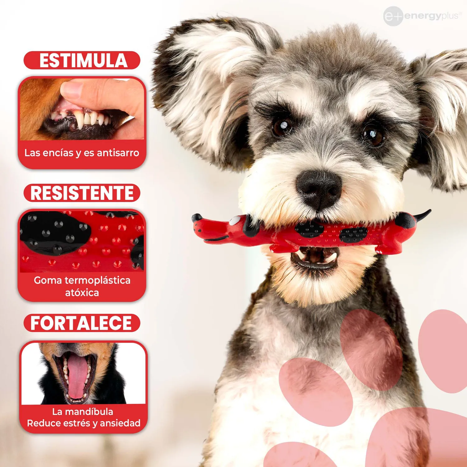 Juguete Para Perro Masticable Razas Peq Quita Sarro Rojo 3