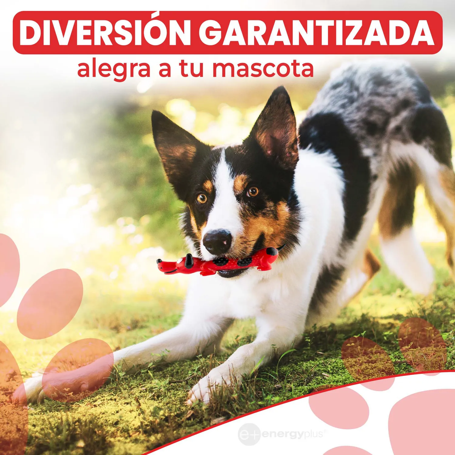 Juguete Para Perro Masticable Razas Peq Quita Sarro Rojo 4