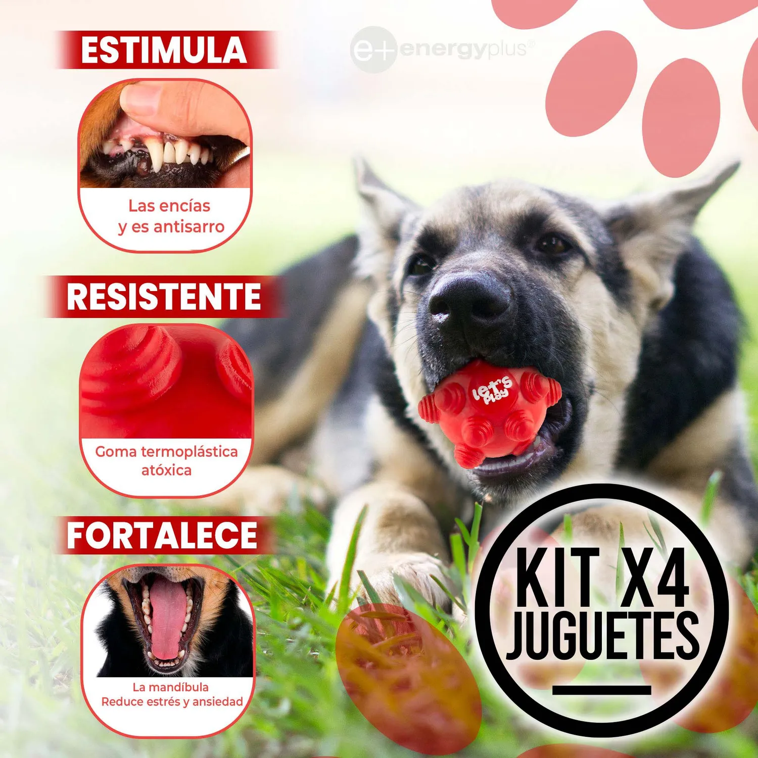 Kit X4 Pelotas Macizas En Goma Rebote Único Perros 3