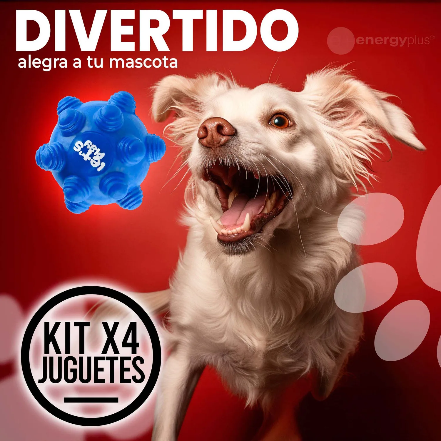 Kit X4 Pelotas Macizas En Goma Rebote Único Perros 4