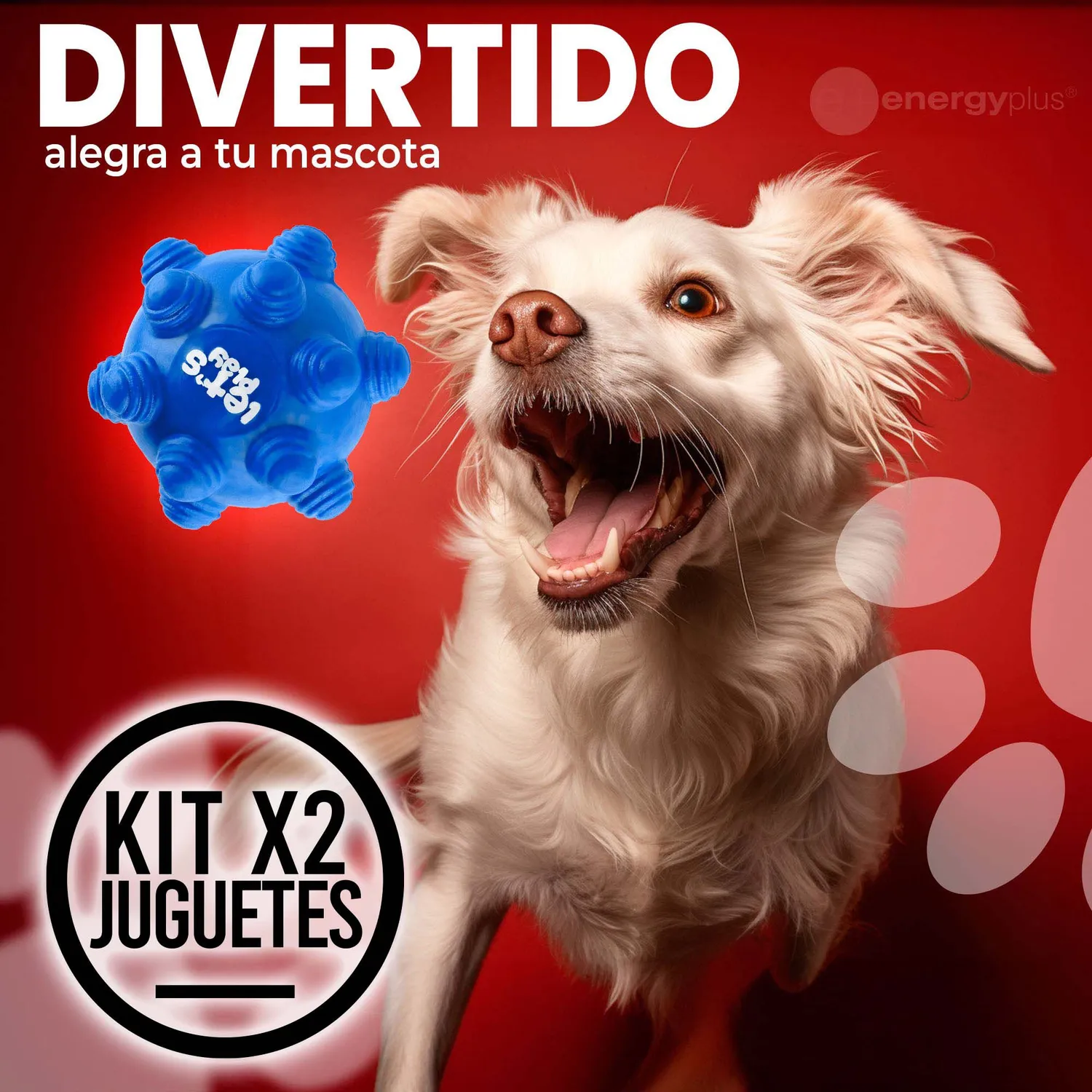 Kit X2 Pelotas Macizas En Goma Rebote Único Perros Azul Rojo 4