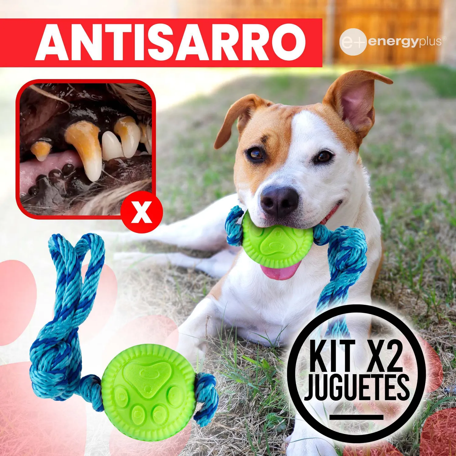 2 Juguetes Para Perro Con Pelota Y Cuerda Medianos Naranja Verde
