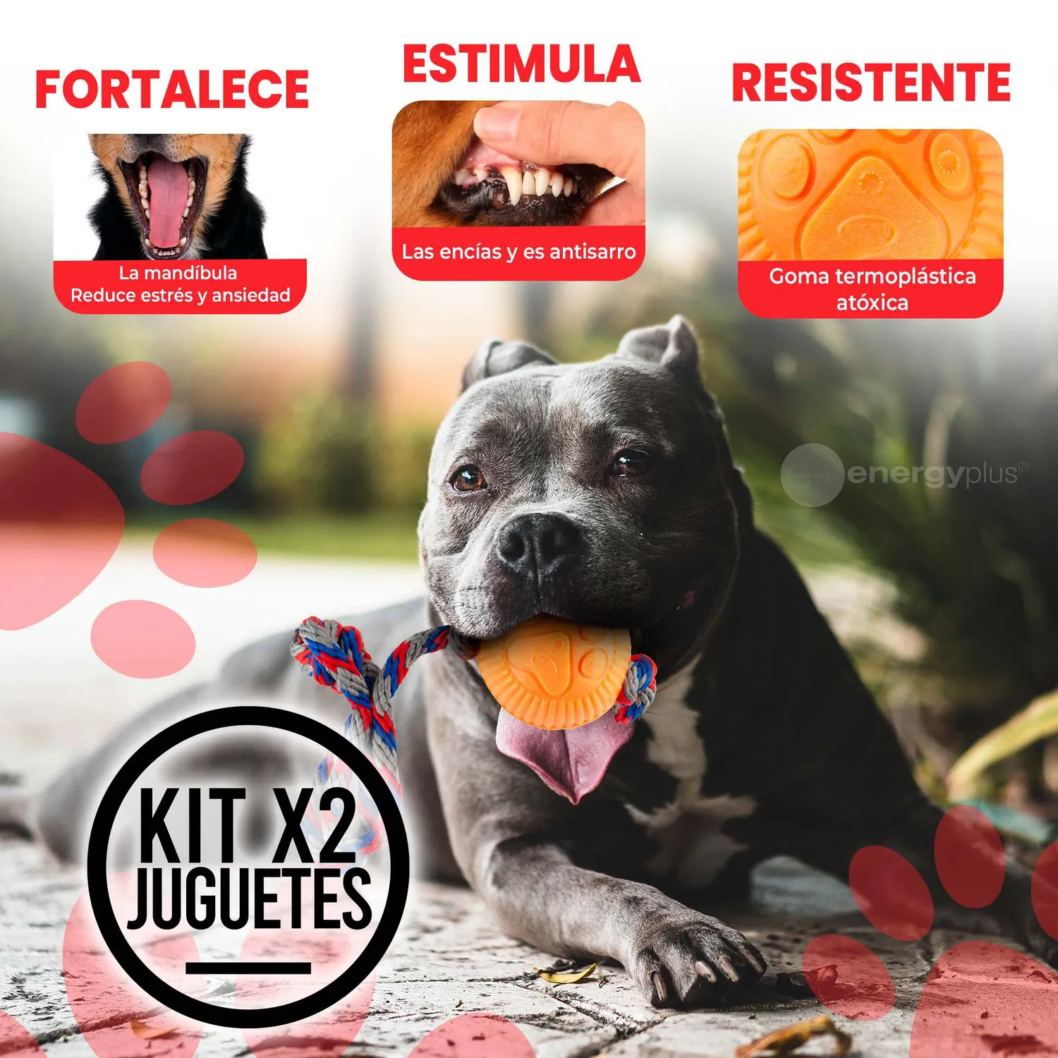 2 Juguetes Para Perro Con Pelota Y Cuerda Medianos Naranja Verde 3
