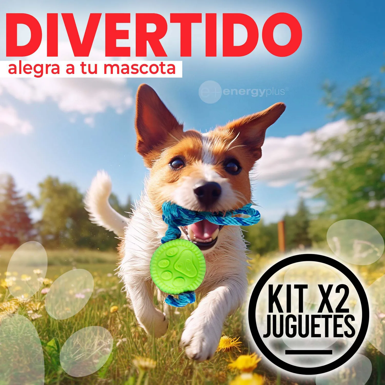 2 Juguetes Para Perro Con Pelota Y Cuerda Medianos Naranja Verde 4