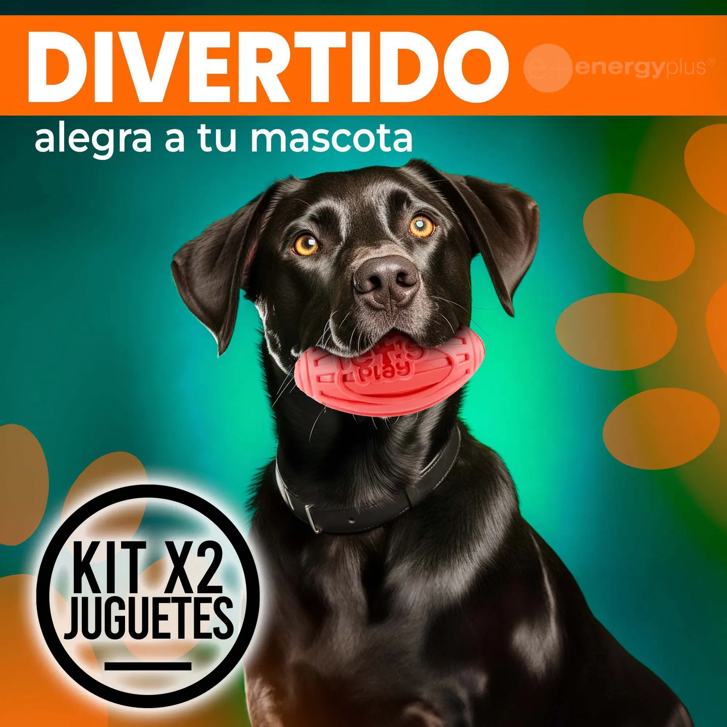 2 Juguetes Para Perro  Balón Ovalado Y Chillón Azul Rojo 4