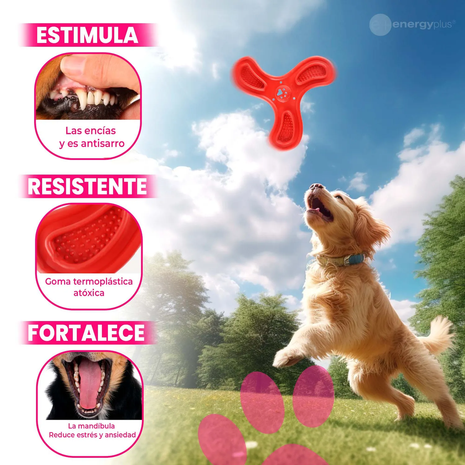 Boomerang De Goma Perros Resistente Para Masticar Rojo 3