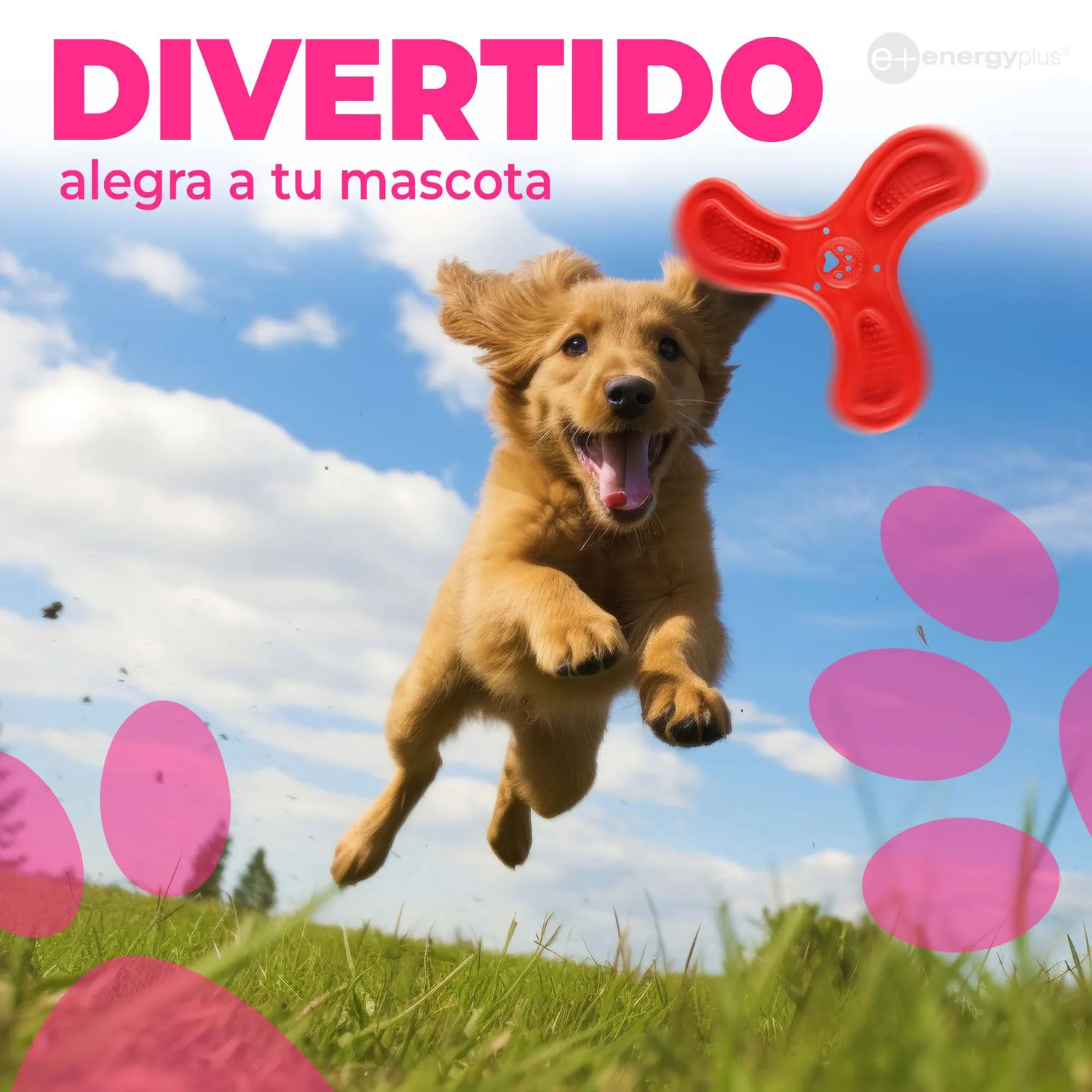 Boomerang De Goma Perros Resistente Para Masticar Rojo 4