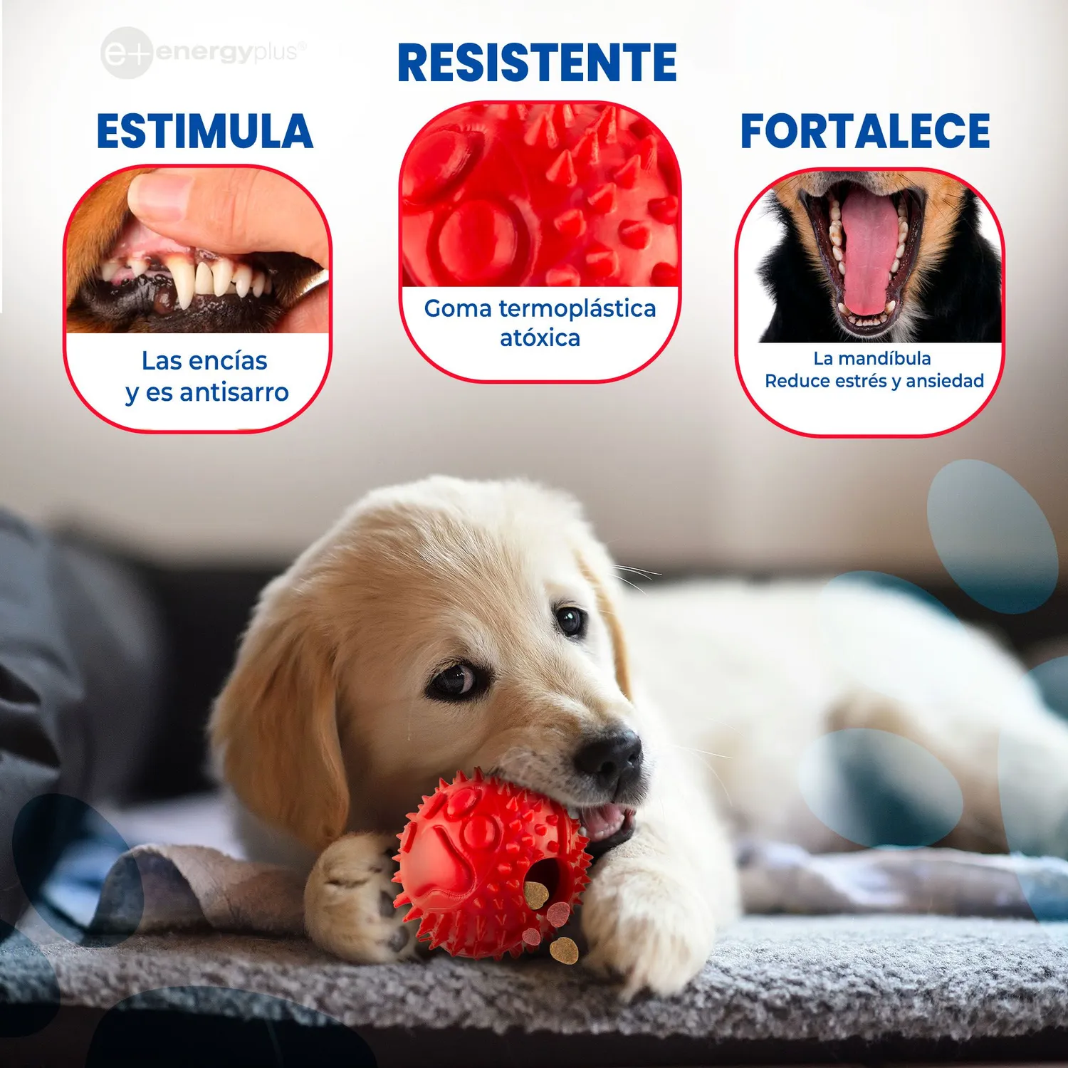 Pelota Para Perro Anti-sarro Dispensador  Peq Rojo 3