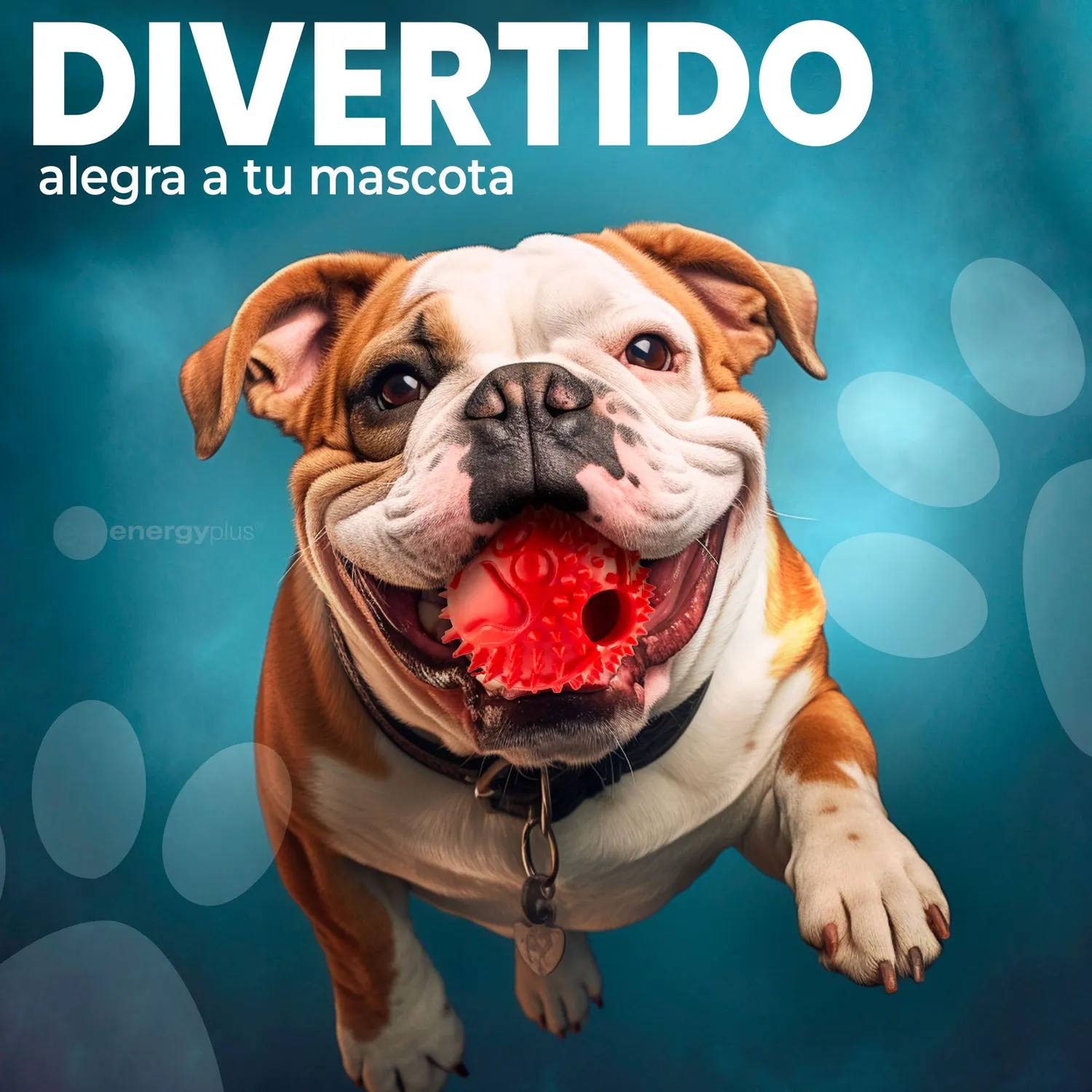 Pelota Para Perro Anti-sarro Dispensador  Peq Rojo 4