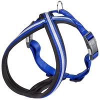 Pechera Perro Daytona Cross -Ml -Azul