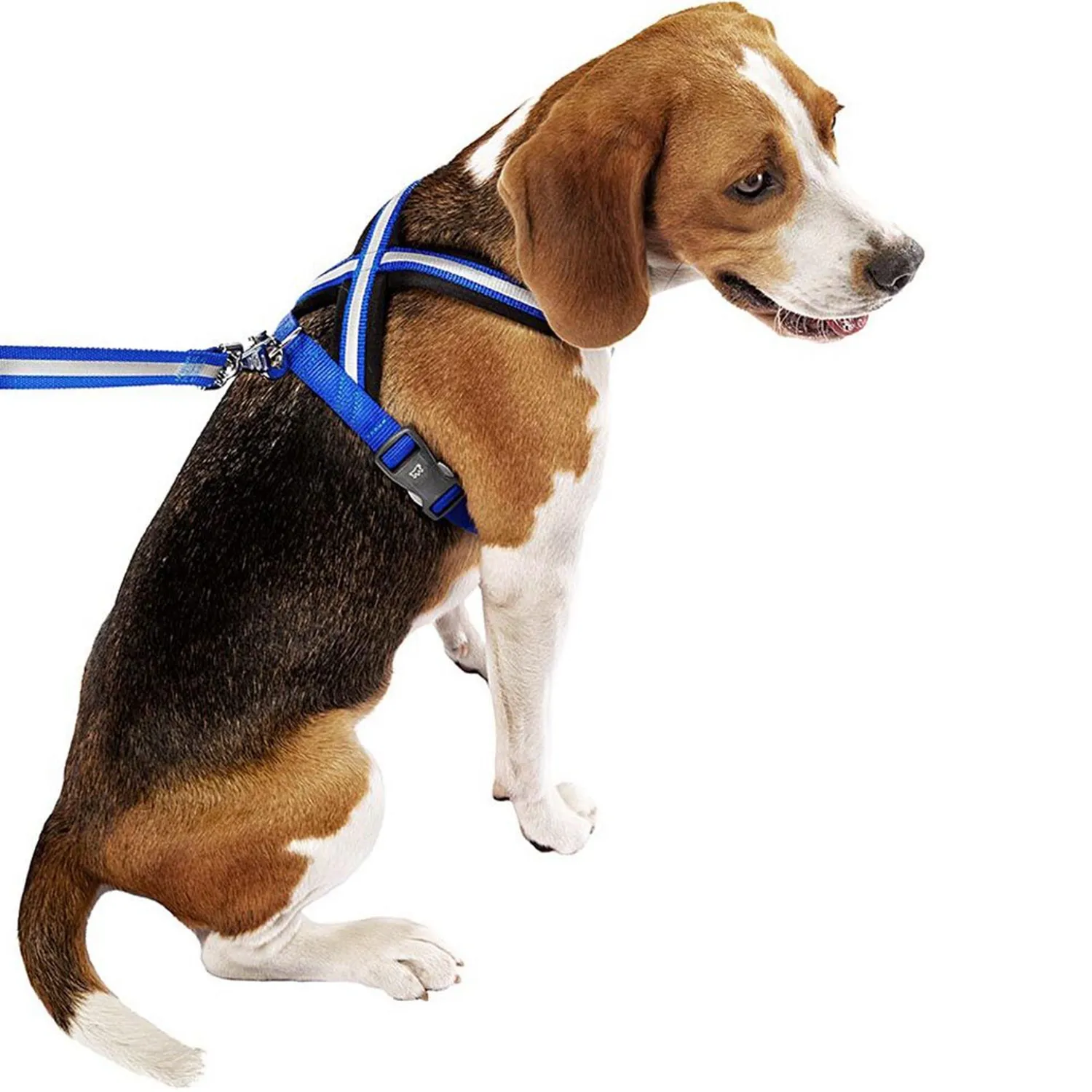 Pechera Perro Daytona Cross -Ml -Azul