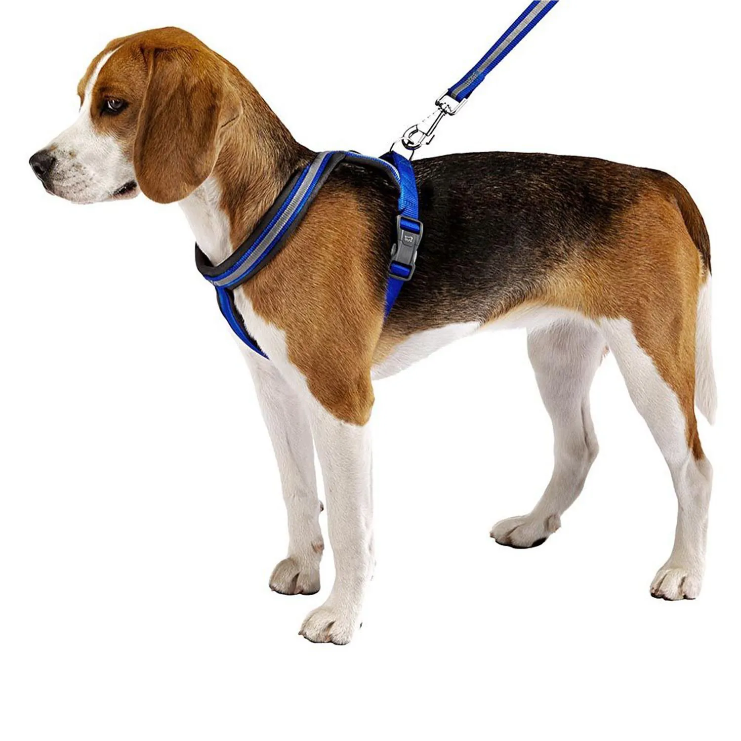 Pechera Perro Daytona Cross -Ml -Azul 3