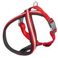 Pechera Perro Daytona Cross -Ml -Rojo