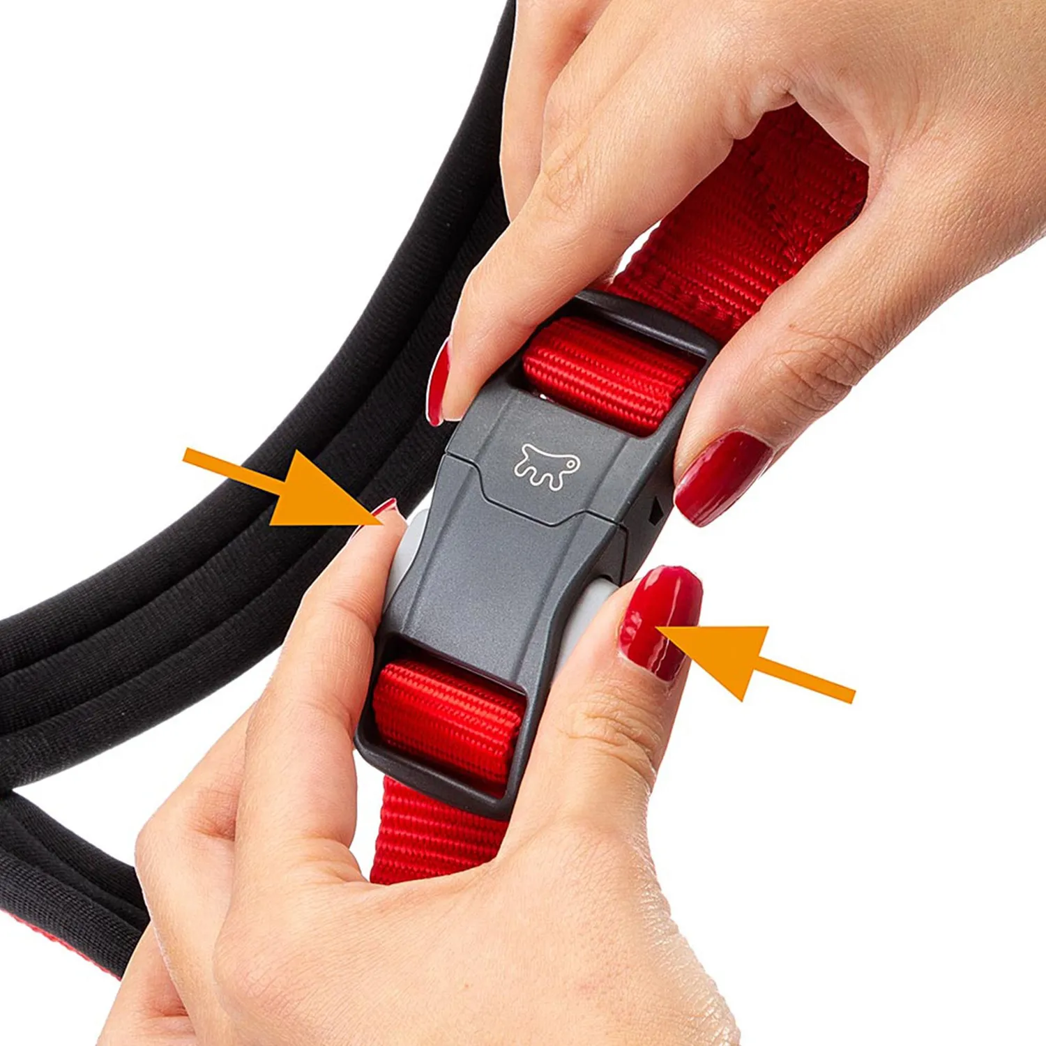 Pechera Perro Daytona Cross -Ml -Rojo 6
