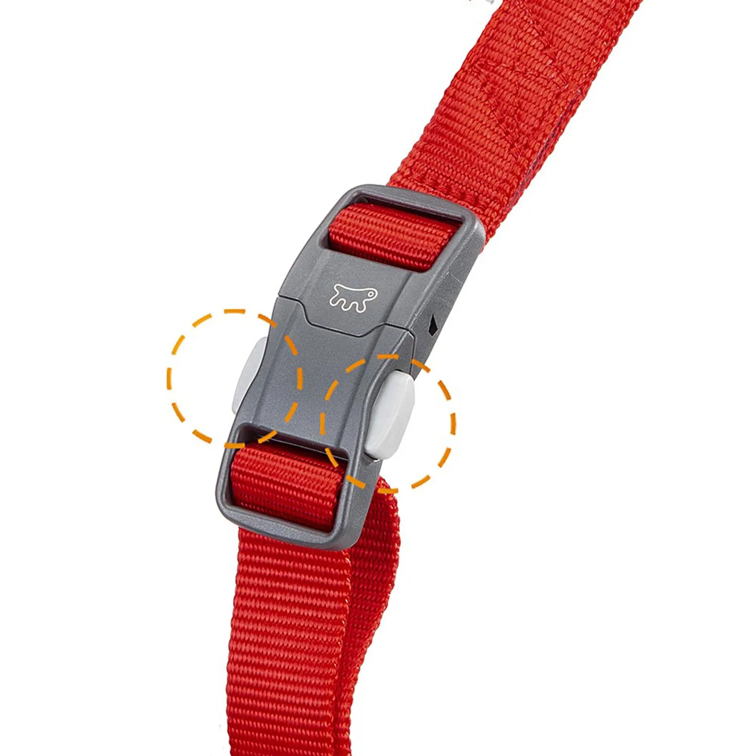 Pechera Perro Daytona Cross -Ml -Rojo 8