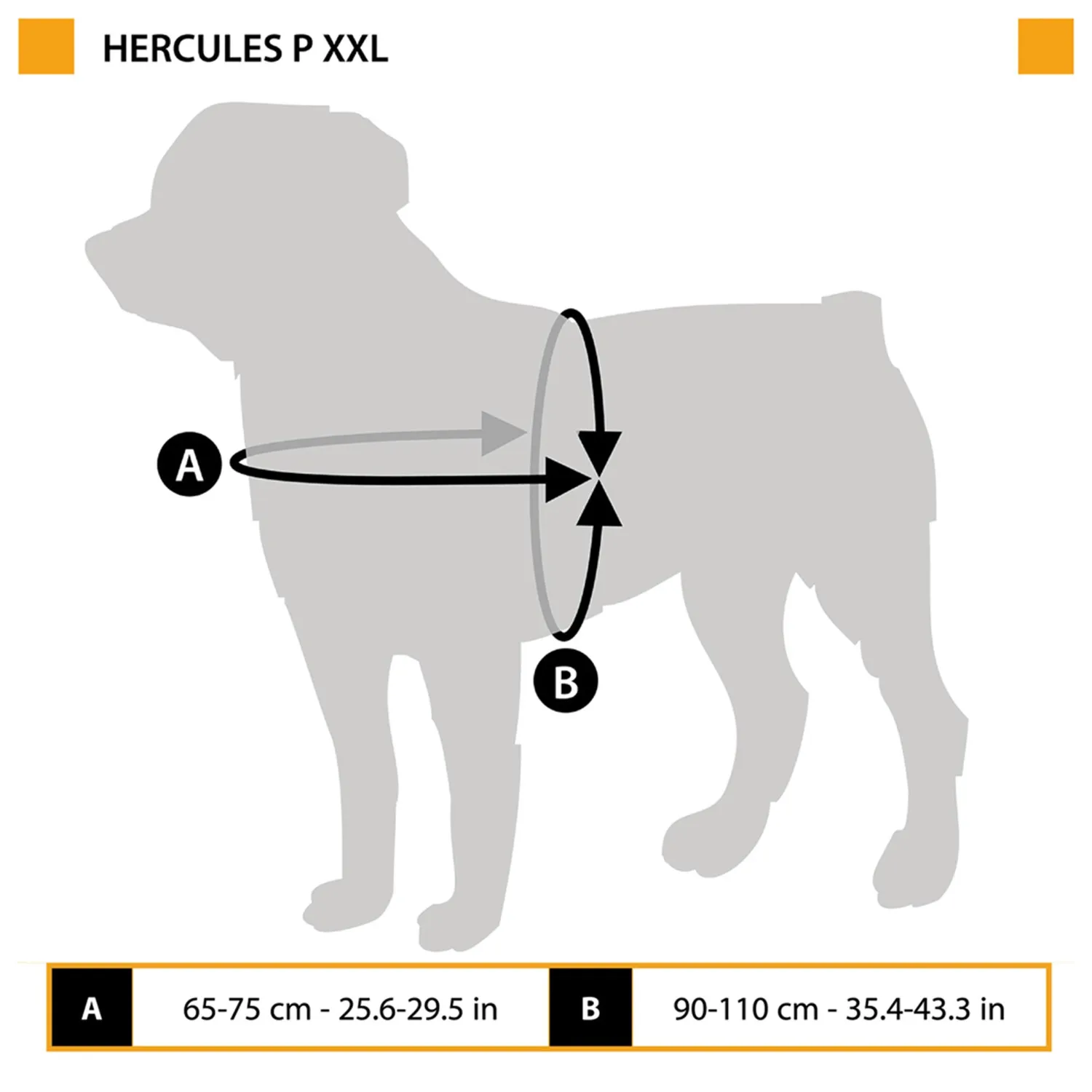 Pechera Hercules -Xxl -Azul 11