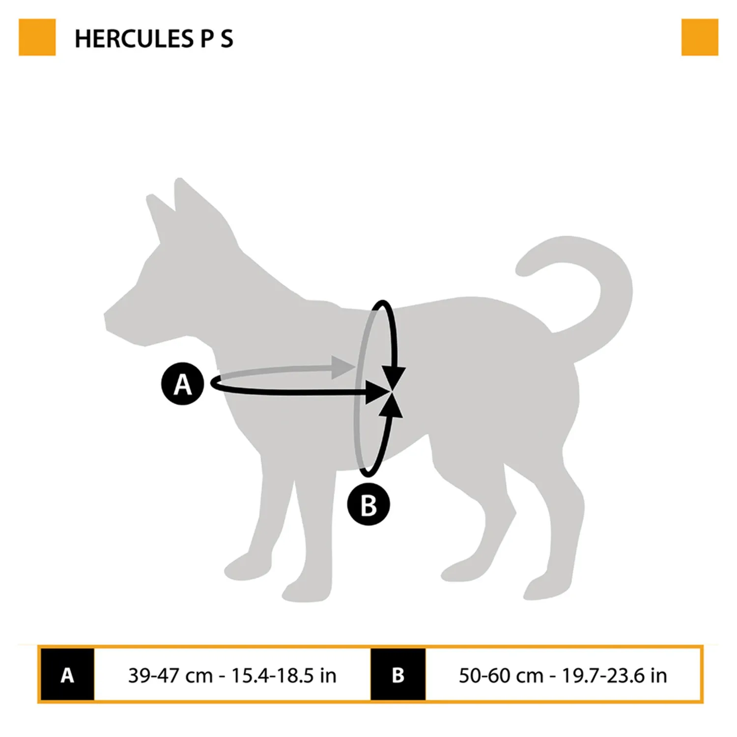 Pechera Hercules -S -Roja 11