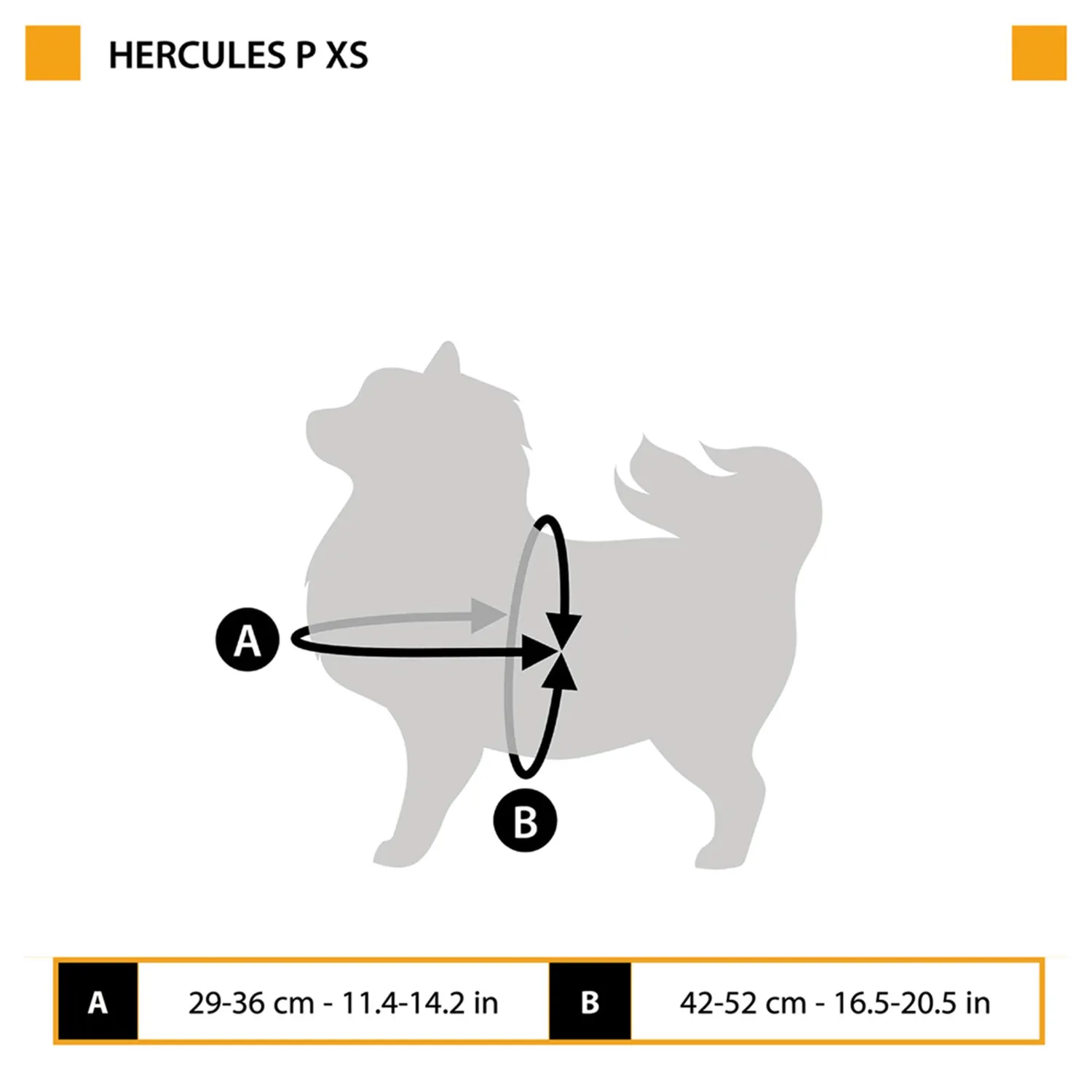 Pechera Hercules -Xs -Azul 11
