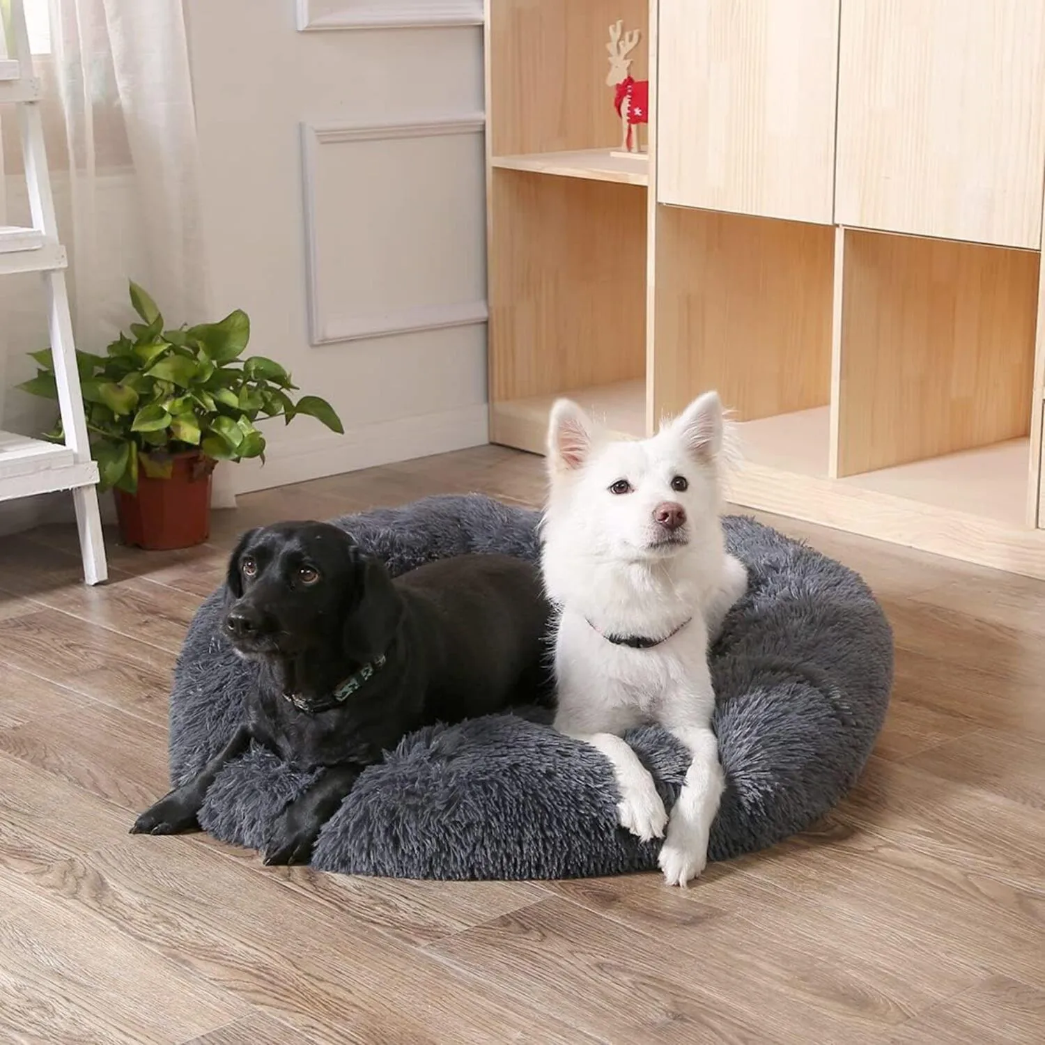 Cama Dona Para Perro 90x90x30cm Extra Grande Gris Maos Pets