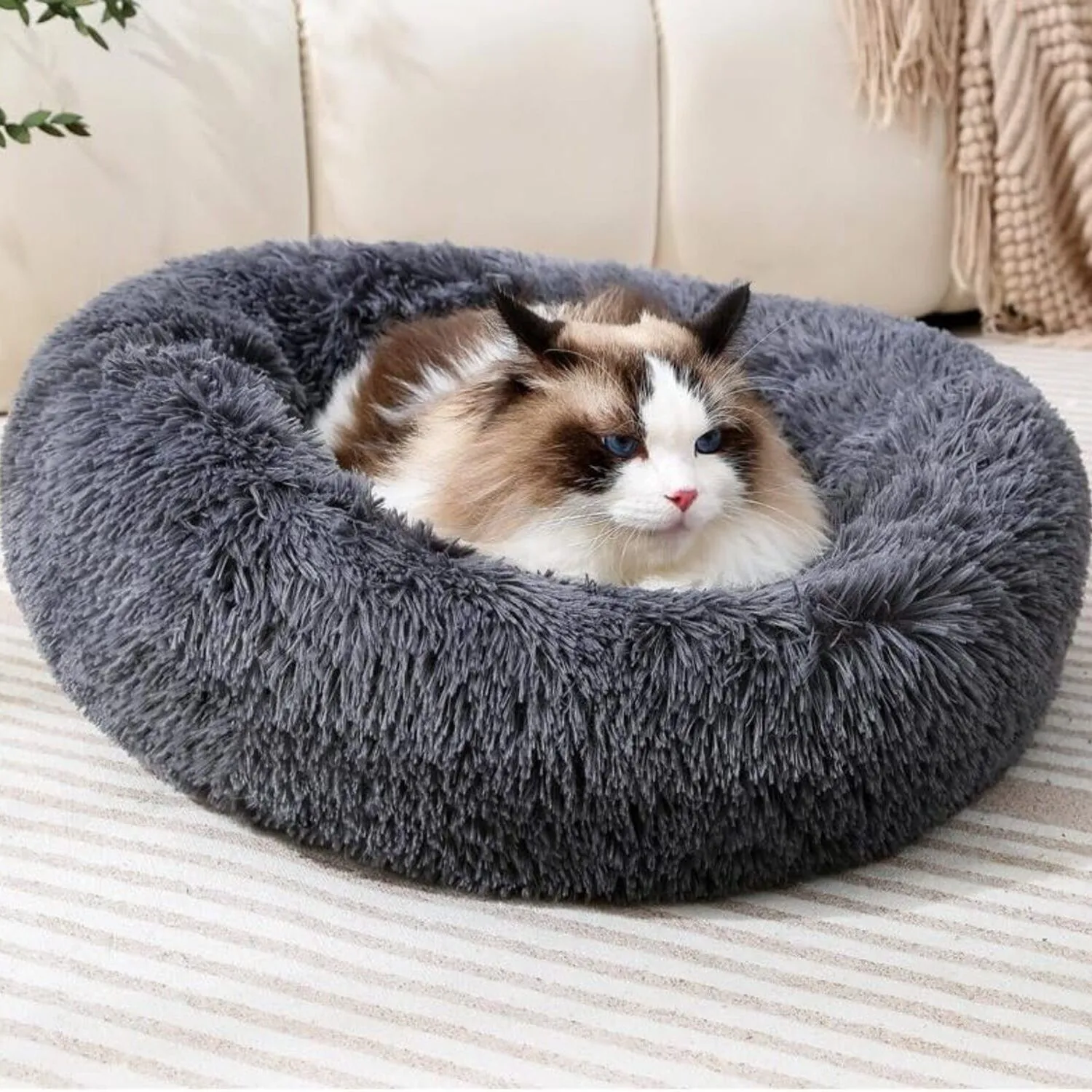 Cama Dona Para Gato 60x60x20cm Mediana Gris Maos Pets