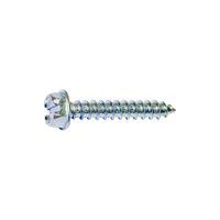 Tornillo Autoperforante Cabeza Hexagonal Ranura Rosca 14 1.90 cm