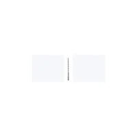 Broca Drl Hmr 2Ct Sdsp 0.25 X 10 X 12