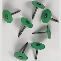 Clavo con Tapa Plástica de Empotrar de 4.44 cm X 100