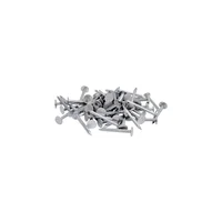 Clavo Electrogalvanizado para Techo de 5.08 cm 0.45 Kg