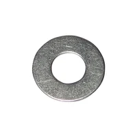 Arandela Plana Ss 0.312 100Ct