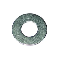 Arandela Plana Ss 0.5 50Ct