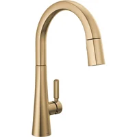 Grifo de Cocina Dorado de Cocina 9191-cz-pr-ds