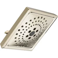 Regadera Universal de Níquel Pulido ?52684-pn-
