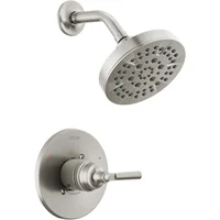 Set de Ducha de Níquel Cepillado T14235-ss Del