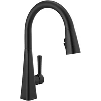 Grifo de Cocina Negro Mate 19802z-bl-dst Delta