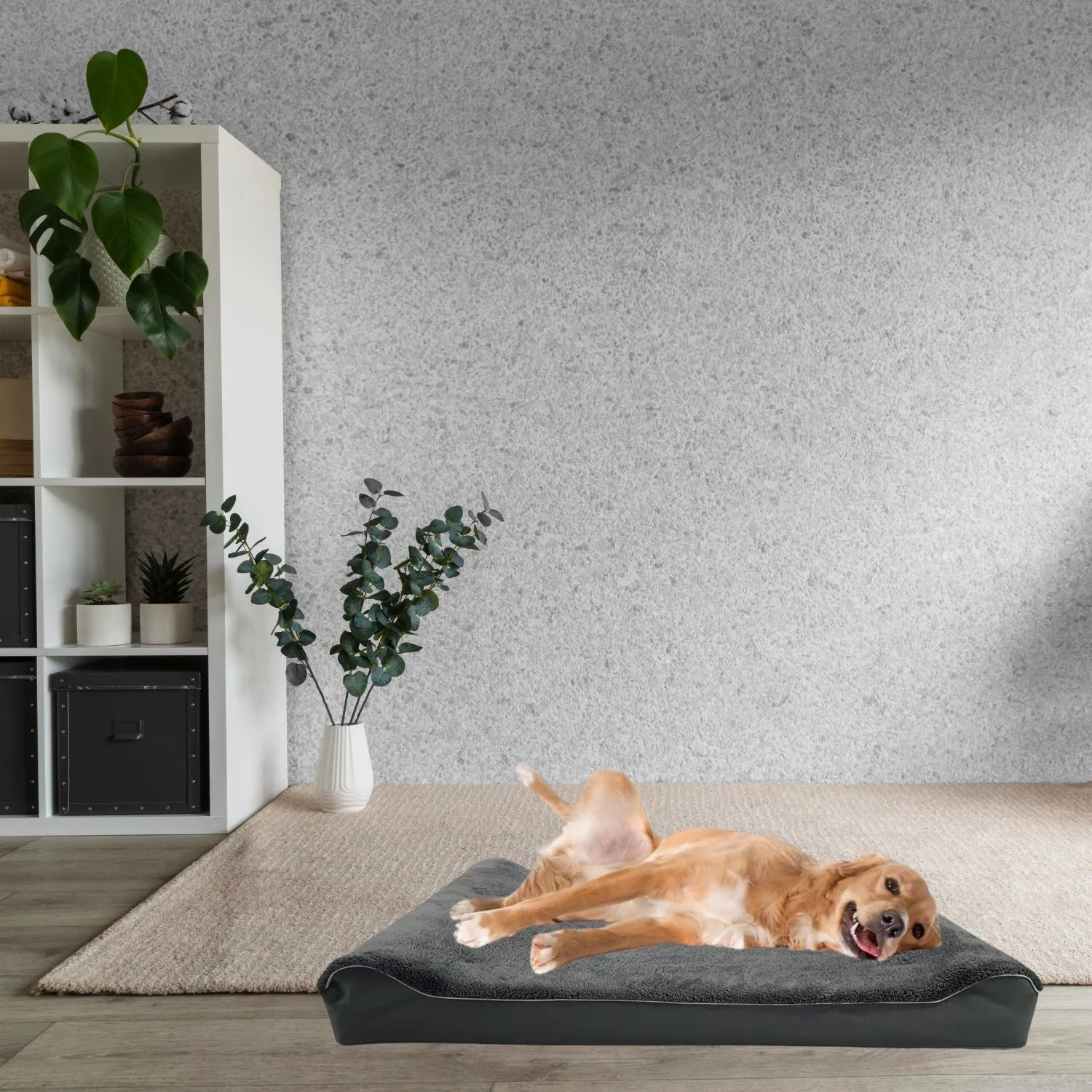 Cama Para Perro Ortopedica Lounger 70x50x20cm Pequeña Gris Border