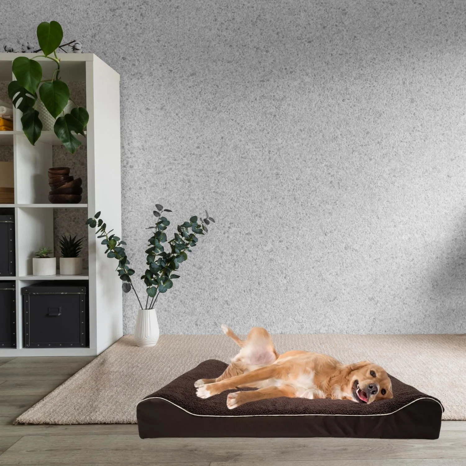Cama Para Perro Ortopedica Lounger 70x50x20cm Pequeña Café Border