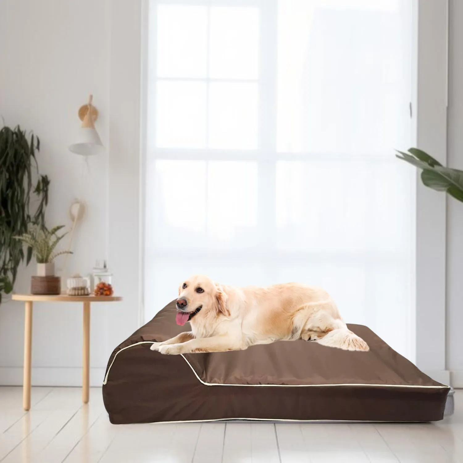 Cama para Perro Ortopedica Luxury 80x60x20cm Mediana Café Border