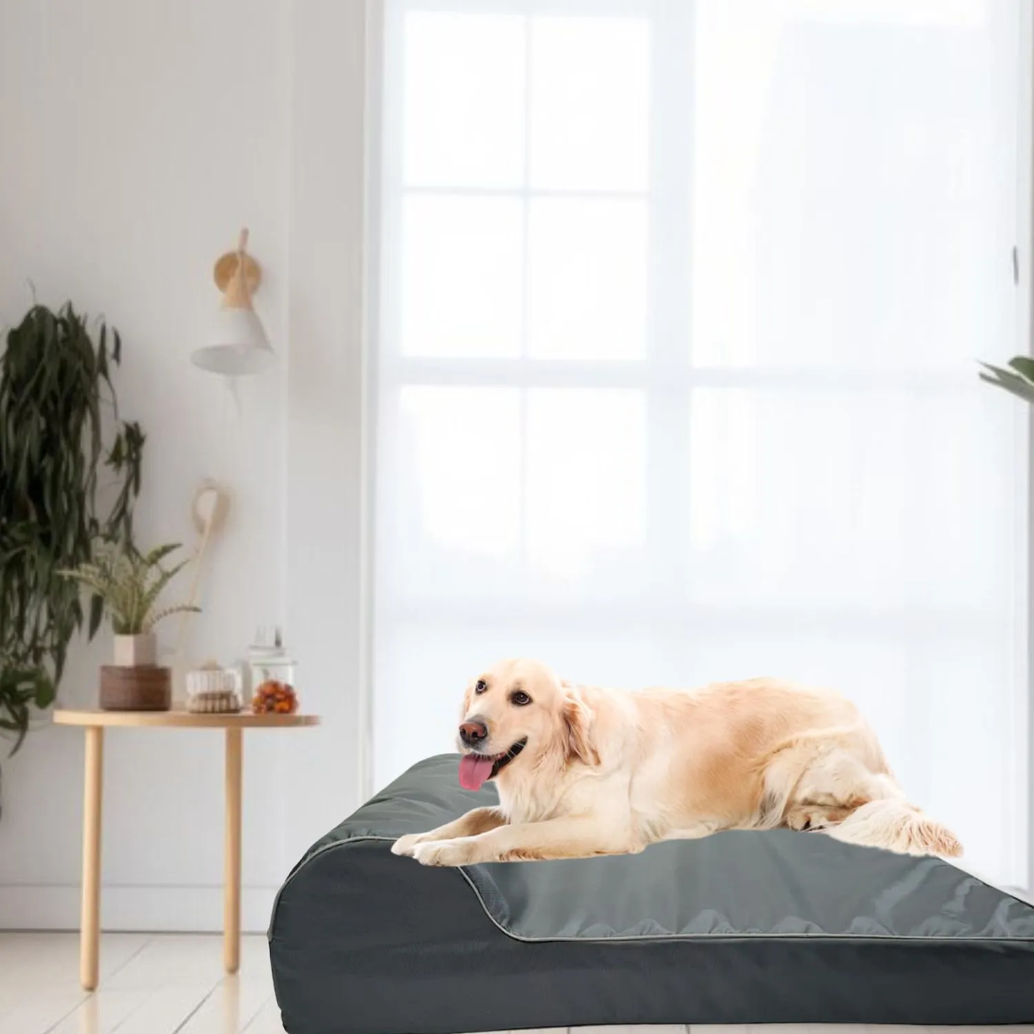 Cama para Perro Ortopedica Luxury 80x60x20cm Mediana  Gris Border