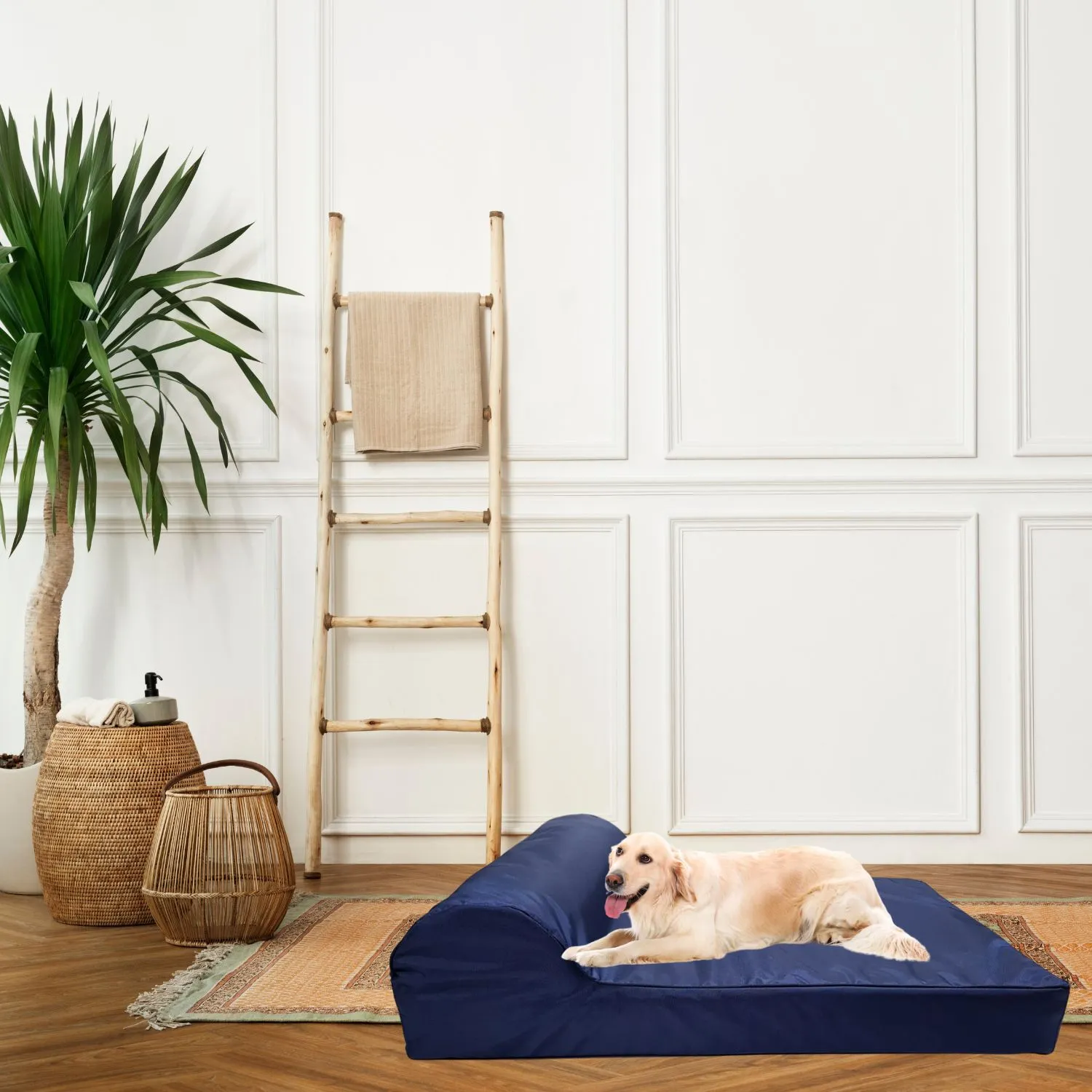 Cama para Perro Ortopedica Luxury 70x50x20cm Pequeña Azul Border