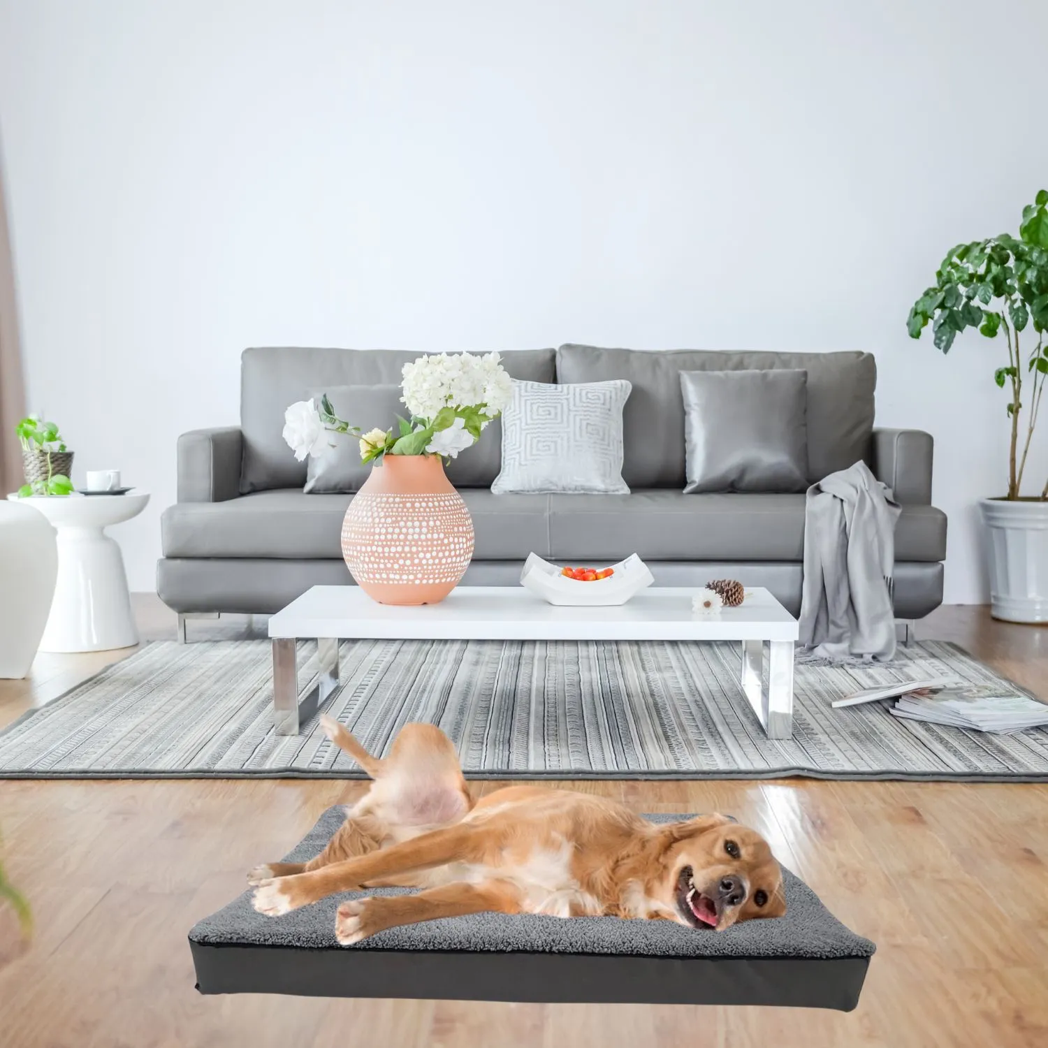 Cama para Perro Ortopedica Antiestres 100x63x10cm Grande Gris Border