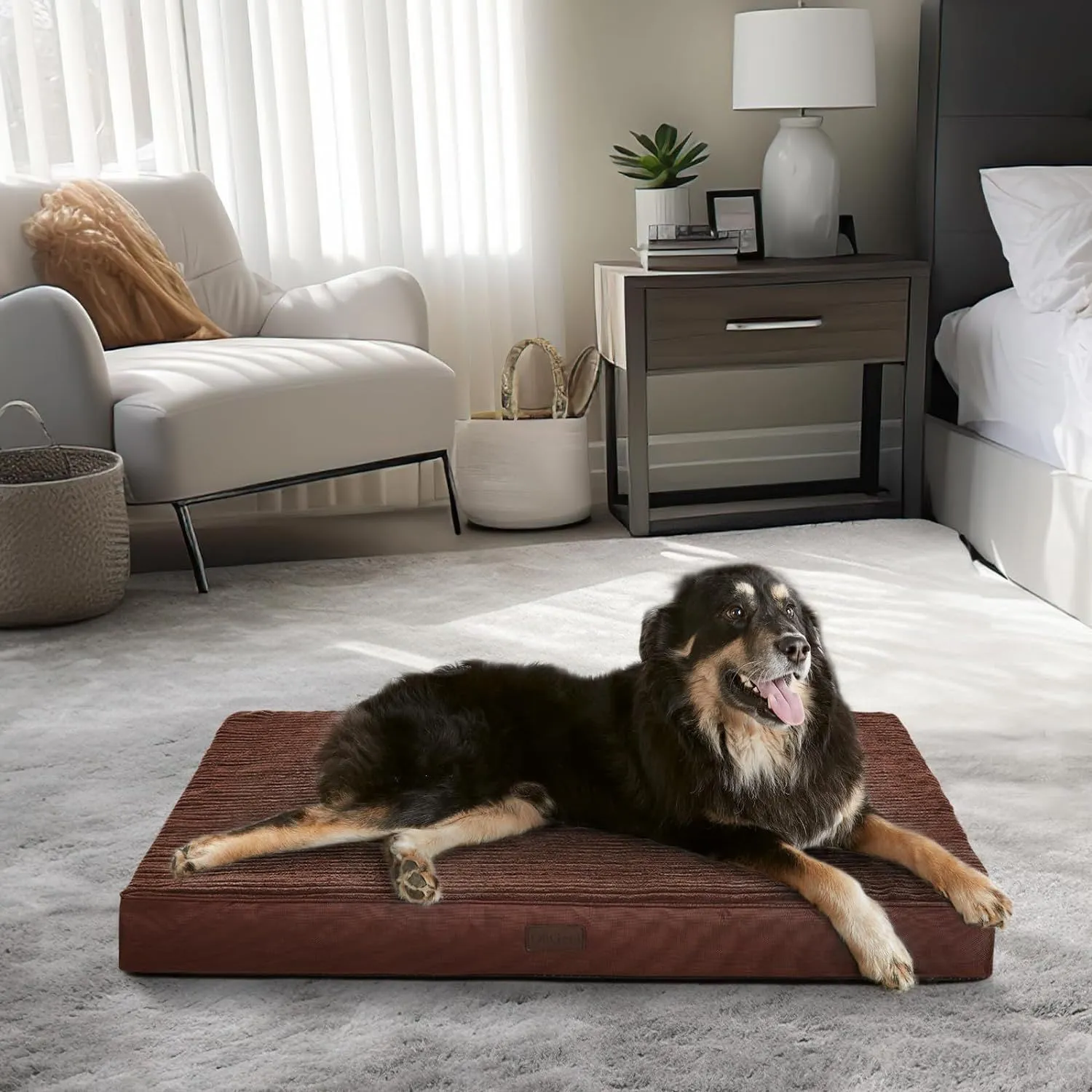 Cama Para Perro Ortopedica Antiestres 70x50x10cm Mediana Café Border