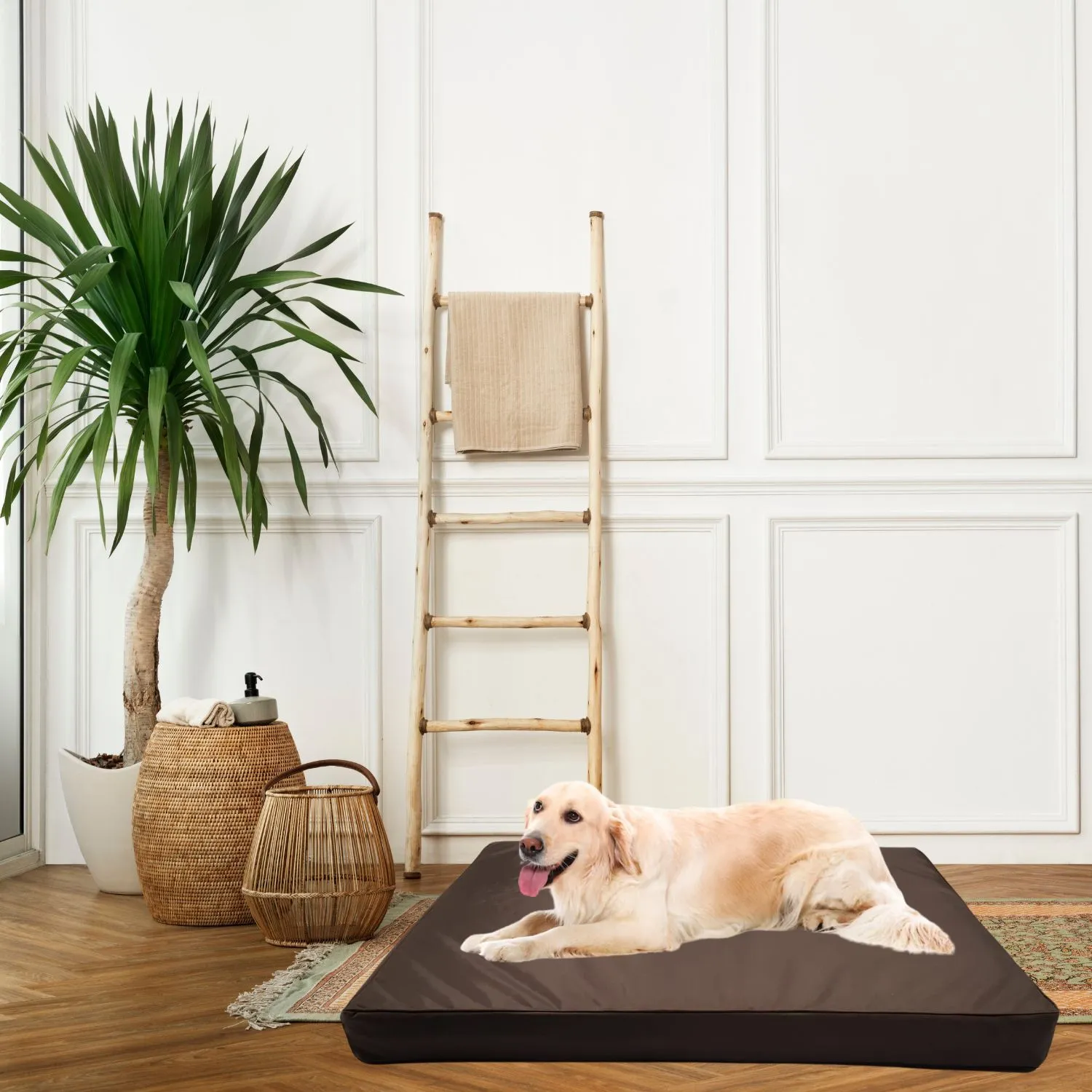 Cama para Perro Antimordidas Strong 100x63x10cm Grande Café Border