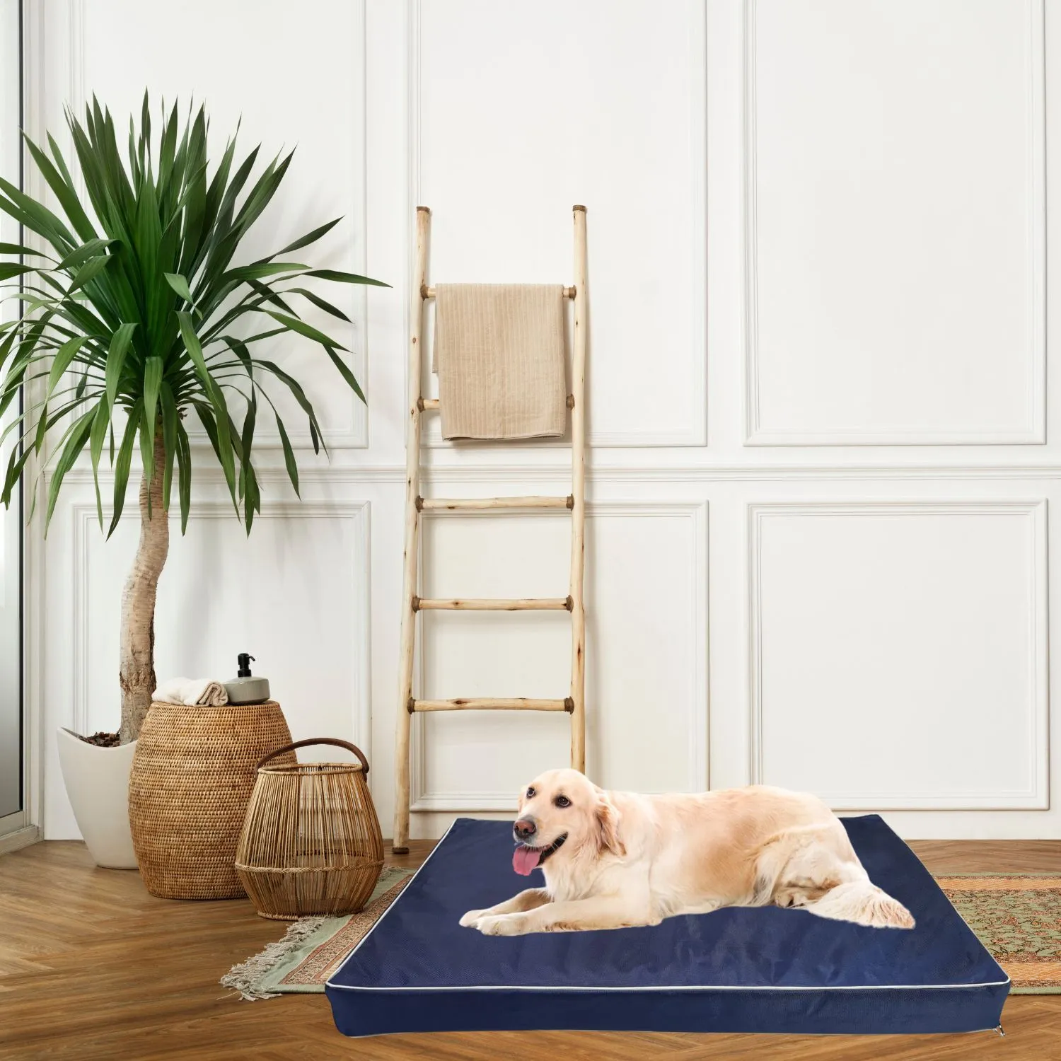Cama Para Perro Antimordidas Strong 70x50x10cm  Pequeña Azul Border