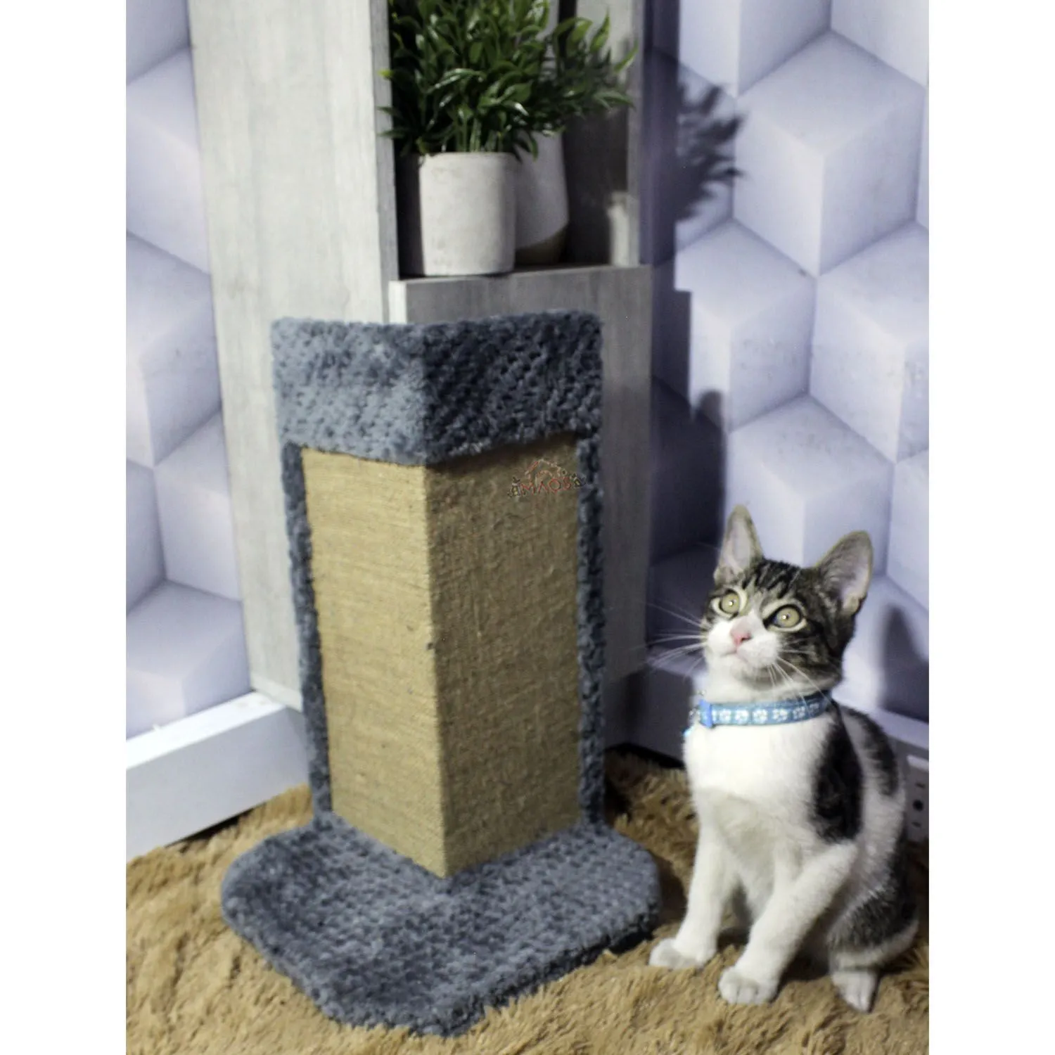 Gimnasio Rascador Para Gatos 25x25x40cm Mediano  Gris 3