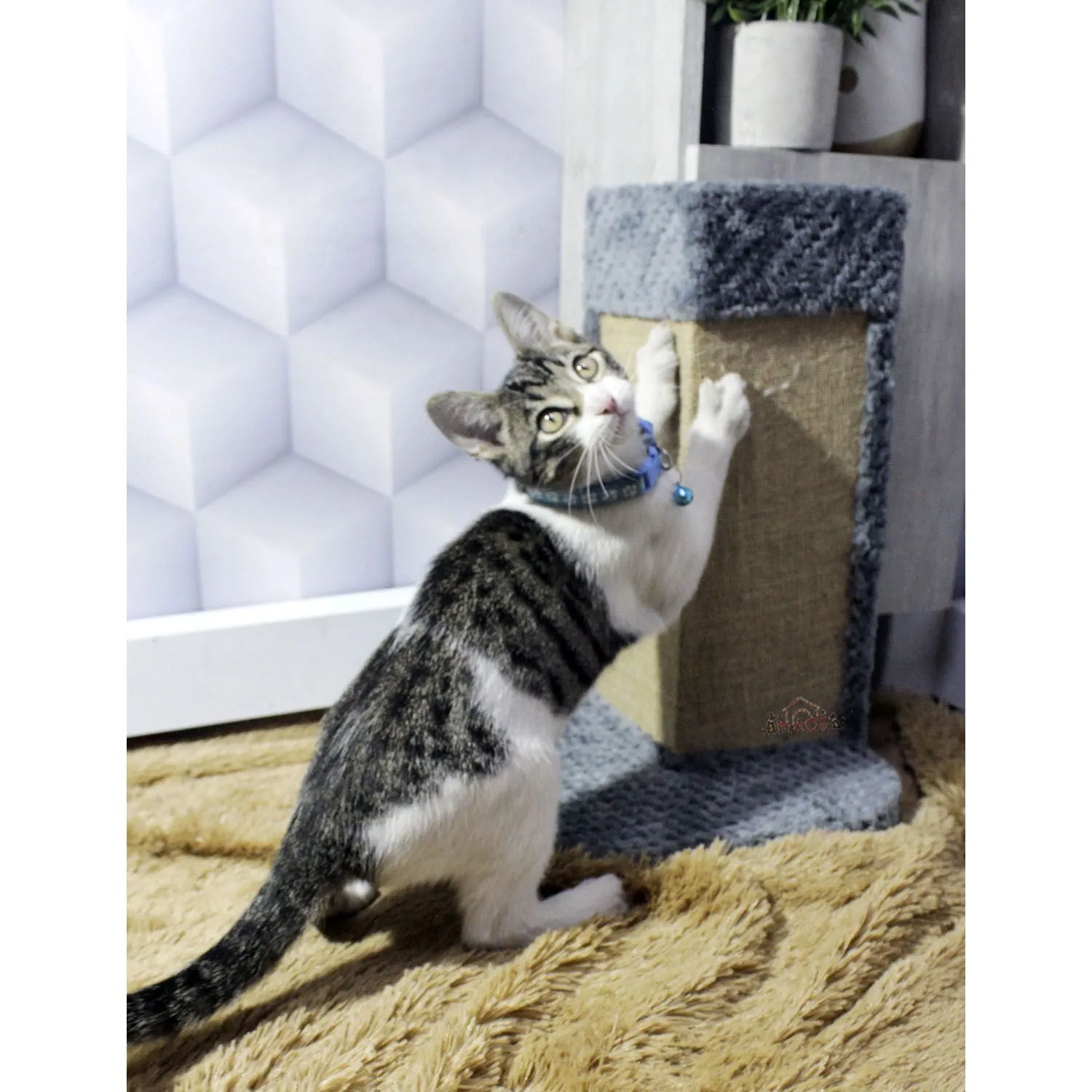 Gimnasio Rascador Para Gatos 25x25x40cm Mediano  Gris 4